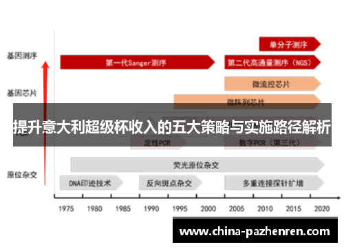 提升意大利超级杯收入的五大策略与实施路径解析 提升意大利超级杯收入的五大策略与实施路径解析