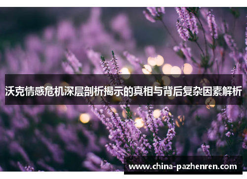 沃克情感危机深层剖析揭示的真相与背后复杂因素解析 沃克情感危机深层剖析揭示的真相与背后复杂因素解析