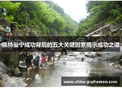 佩特曼宁成功背后的五大关键因素揭示成功之道 佩特曼宁成功背后的五大关键因素揭示成功之道