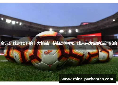 金元足球时代下的十大挑战与抉择对中国足球未来发展的深远影响 金元足球时代下的十大挑战与抉择对中国足球未来发展的深远影响