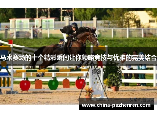 马术赛场的十个精彩瞬间让你领略竞技与优雅的完美结合