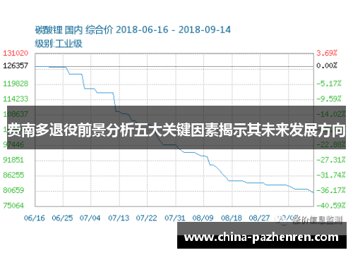 费南多退役前景分析五大关键因素揭示其未来发展方向