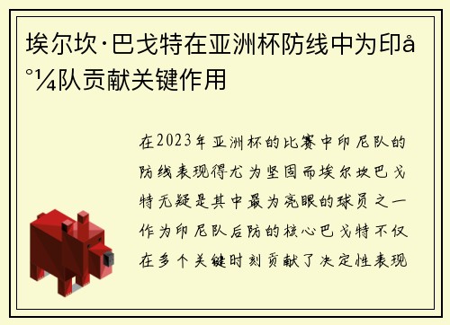 埃尔坎·巴戈特在亚洲杯防线中为印尼队贡献关键作用